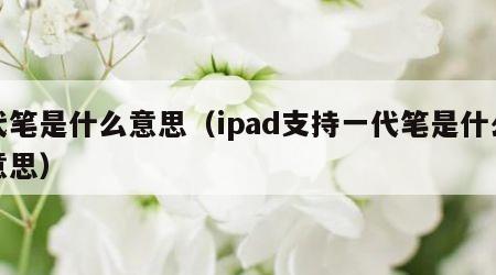 代笔是什么意思（ipad支持一代笔是什么意思）