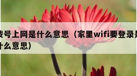 拨号上网是什么意思（家里wifi要登录是什么意思）