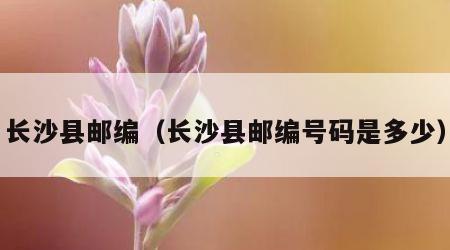 长沙县邮编（长沙县邮编号码是多少）