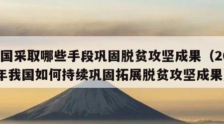 我国采取哪些手段巩固脱贫攻坚成果（2021年我国如何持续巩固拓展脱贫攻坚成果）