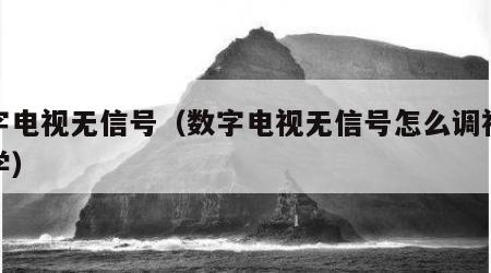 数字电视无信号（数字电视无信号怎么调视频教学）