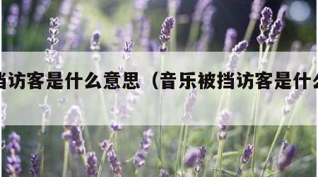 被挡访客是什么意思（音乐被挡访客是什么意思）