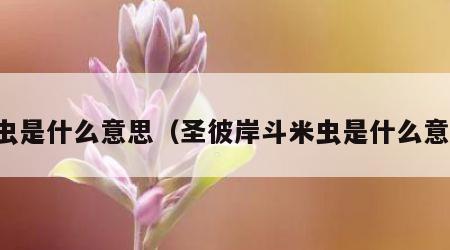 米虫是什么意思（圣彼岸斗米虫是什么意思）