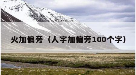 火加偏旁（人字加偏旁100个字）