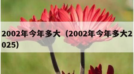 2002年今年多大（2002年今年多大2025）