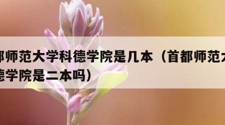 首都师范大学科德学院是几本（首都师范大学科德学院是二本吗）