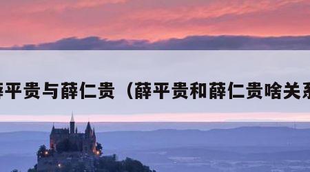 薛平贵与薛仁贵（薛平贵和薛仁贵啥关系）