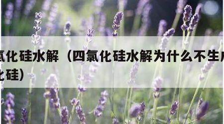 四氯化硅水解（四氯化硅水解为什么不生成二氧化硅）