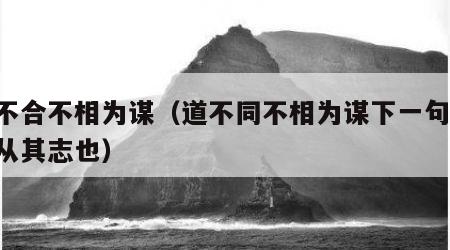 道不合不相为谋（道不同不相为谋下一句,亦各从其志也）