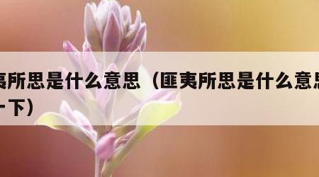 匪夷所思是什么意思（匪夷所思是什么意思解释一下）