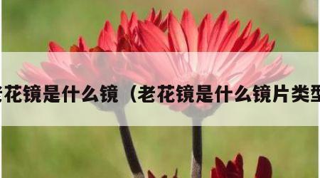 老花镜是什么镜（老花镜是什么镜片类型）