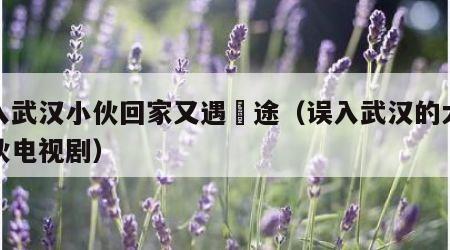 误入武汉小伙回家又遇囧途（误入武汉的大连小伙电视剧）