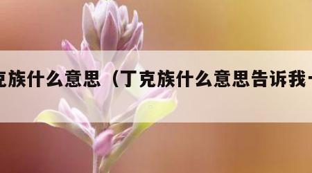 丁克族什么意思（丁克族什么意思告诉我一声）