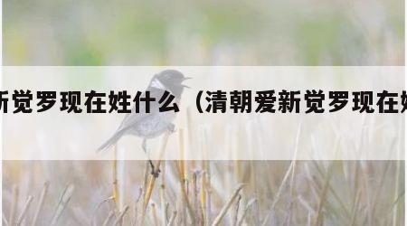 爱新觉罗现在姓什么（清朝爱新觉罗现在姓什么）