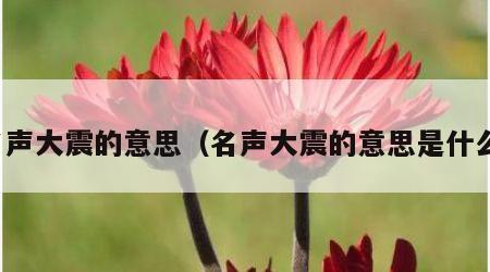 名声大震的意思（名声大震的意思是什么）