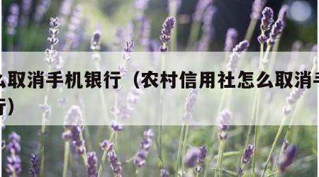 怎么取消手机银行（农村信用社怎么取消手机银行）