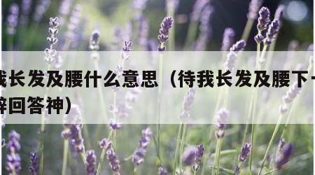 待我长发及腰什么意思（待我长发及腰下一句精辟回答神）