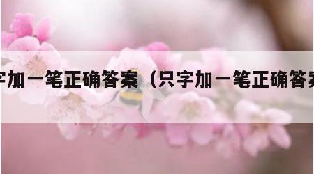 只字加一笔正确答案（只字加一笔正确答案大全）