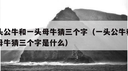 一头公牛和一头母牛猜三个字（一头公牛和一头母牛猜三个字是什么）