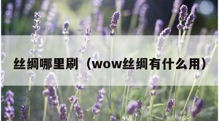 丝绸哪里刷（wow丝绸有什么用）