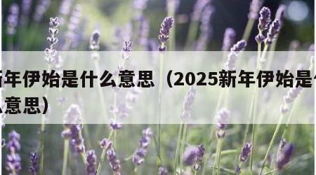 新年伊始是什么意思（2025新年伊始是什么意思）