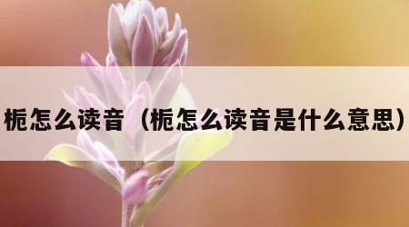 栀怎么读音（栀怎么读音是什么意思）