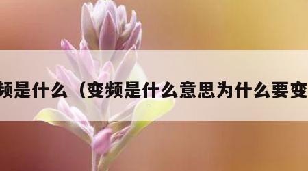 变频是什么（变频是什么意思为什么要变频）