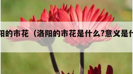 洛阳的市花（洛阳的市花是什么?意义是什么?）