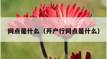 网点是什么（开户行网点是什么）