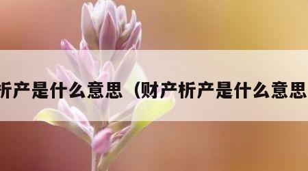 析产是什么意思（财产析产是什么意思）