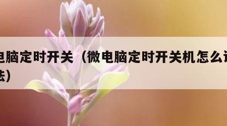 微电脑定时开关（微电脑定时开关机怎么设置方法）