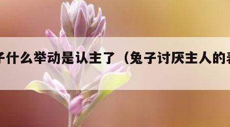 兔子什么举动是认主了（兔子讨厌主人的表现）