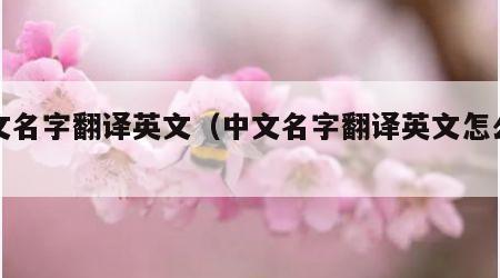 中文名字翻译英文（中文名字翻译英文怎么写）