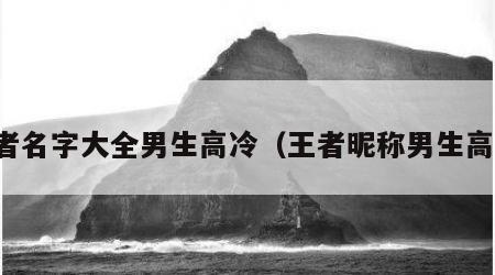 王者名字大全男生高冷（王者昵称男生高冷）