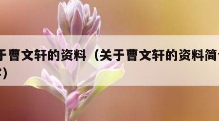 关于曹文轩的资料（关于曹文轩的资料简介20字）