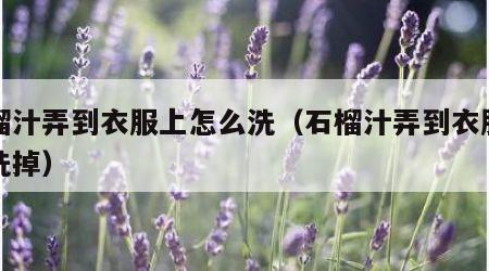 石榴汁弄到衣服上怎么洗（石榴汁弄到衣服怎么洗掉）