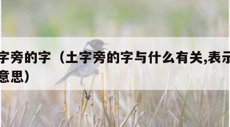 土字旁的字（土字旁的字与什么有关,表示什么意思）