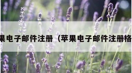 苹果电子邮件注册（苹果电子邮件注册格式）