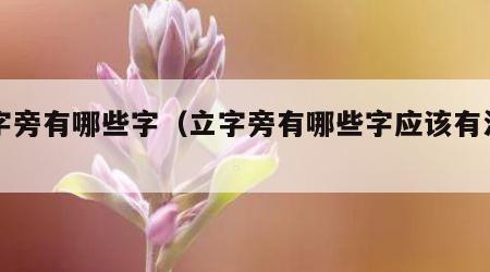 立字旁有哪些字（立字旁有哪些字应该有没有了）