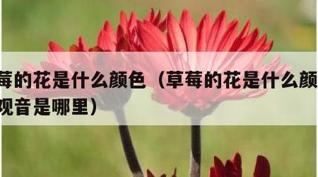 草莓的花是什么颜色（草莓的花是什么颜色,铁观音是哪里）