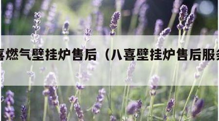 八喜燃气壁挂炉售后（八喜壁挂炉售后服务站）