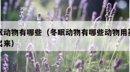 冬眠动物有哪些（冬眠动物有哪些动物用英语说出来）