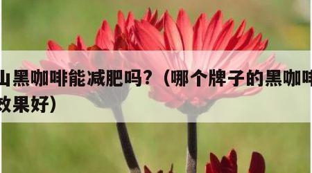 蓝山黑咖啡能减肥吗?（哪个牌子的黑咖啡减肥效果好）