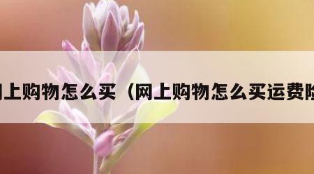 网上购物怎么买（网上购物怎么买运费险）