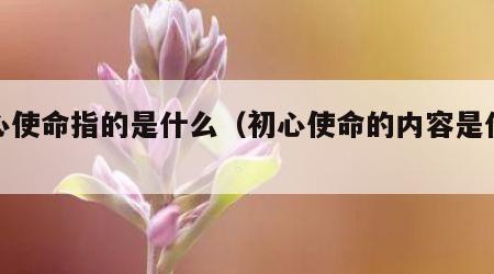 初心使命指的是什么（初心使命的内容是什么）