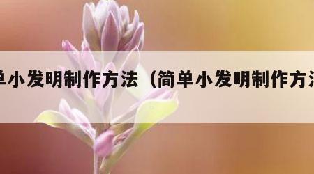 简单小发明制作方法（简单小发明制作方法大全）