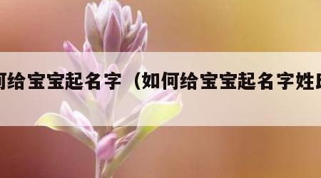 如何给宝宝起名字（如何给宝宝起名字姓氏朱）