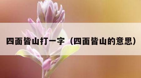 四面皆山打一字（四面皆山的意思）