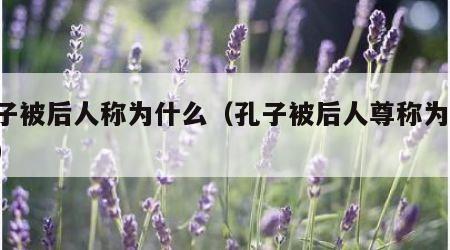 孔子被后人称为什么（孔子被后人尊称为“ ”）