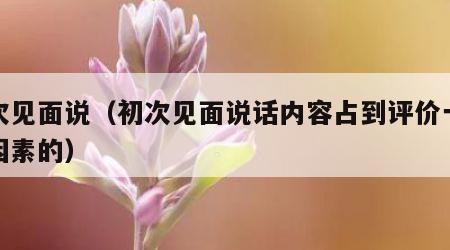 初次见面说（初次见面说话内容占到评价一个人因素的）